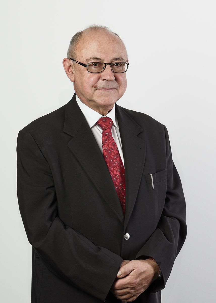 Prof. dr hab. Marek Lubelski